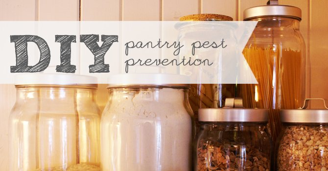 How-To: Safe DIY Pantry Pest Control