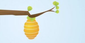 5 Reasons for Beehive Removal + 4 Reasons to Leave it Alone