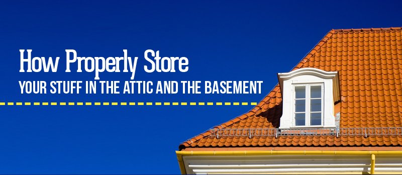 How to Keep Your Attic and Basement Bug Free