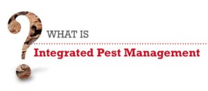 What Is Integrated Pest Management?